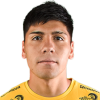 Y. Pinilla