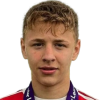 A. Ibragimov