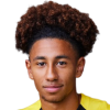 D. Mendes