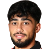 E. Ahmadov