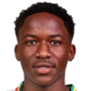 I. Diallo