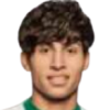 H. Ammar