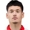 D. Redzic