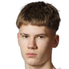 N. Pavlovskij