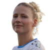 K. Brinkman