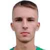 N. Nekrasov