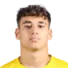 T. Zouaghi