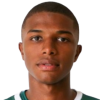 Vitor Andre