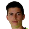 A. Hodzic