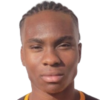 L. Opara