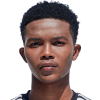 N. Ngiba