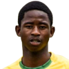 T. Buthelezi