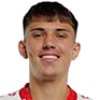D. Migalic