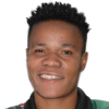 R. Chileshe