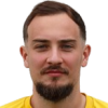 S. Hamzic