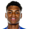 Player avatar