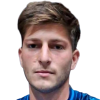 F. Toldo