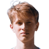 V. Sedin