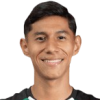 F. Vargas