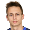 A. Brkovic