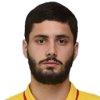 P. Radulovic