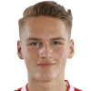 N. Meier