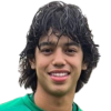 J. Chirinos