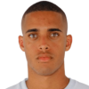 Vinicius Paulista
