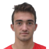 B. Kavcic