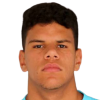 V. da Silva Vieira