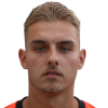 R. van den Brink