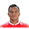 D. Ferreira