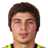 Y. Cakmak