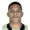 Vitao