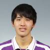 K. Ogino