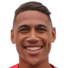 L. T. Martins da Silva