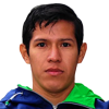 H. Soliz
