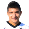 P. Soto Solis