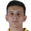 P. Aranguiz