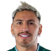 D. Torres Quintana