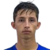 V. M. da Silva Gottems