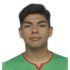 R. A. Escobar Acuna
