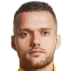 N. Vidic