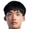 Xie Xiaofan