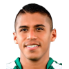 C. Amaya