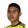 Y. Meneses
