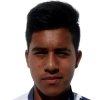 R. Paileman