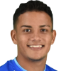 L. Castillo