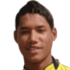 E. Majeed