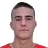 N. Djolonga